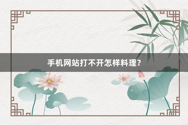 手机网站打不开怎样料理？